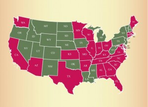 Розовым отмечены штаты с высоким уровнем устойчивости вшей к некоторым из наиболее распространенным методам лечения.